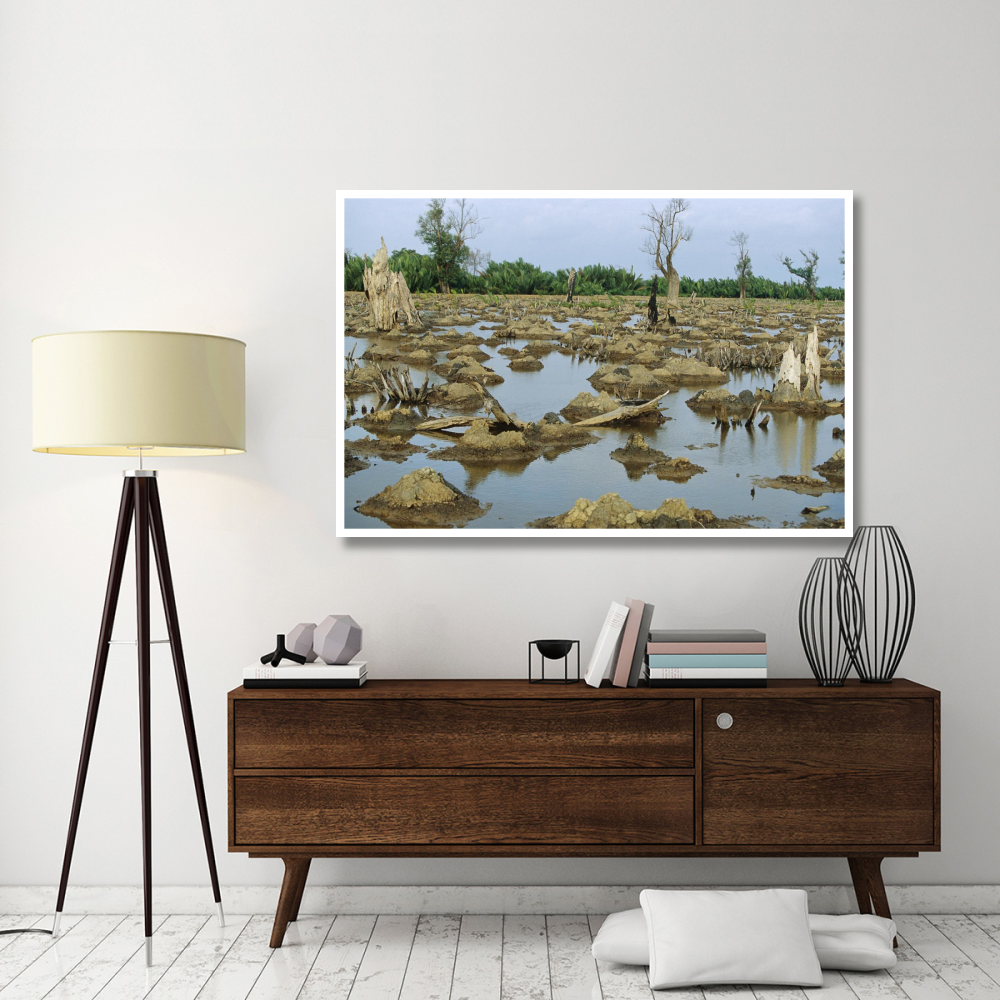 Mangrove in Mahakam Delta 80% destroyed in 2001 because of tiger shrimp farm, East Kalimantan, Indonesia-Paper Art-62&quotx42"