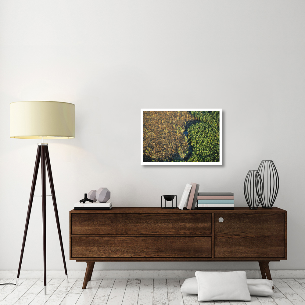 Remnant mangroves in Mahakam Delta, East Kalimantan, Indonesia-Paper Art-32&quotx22"