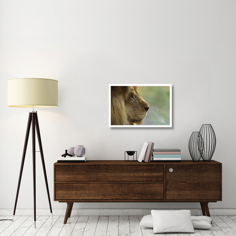 African Lion male portrait-Paper Art-32&quotx22"