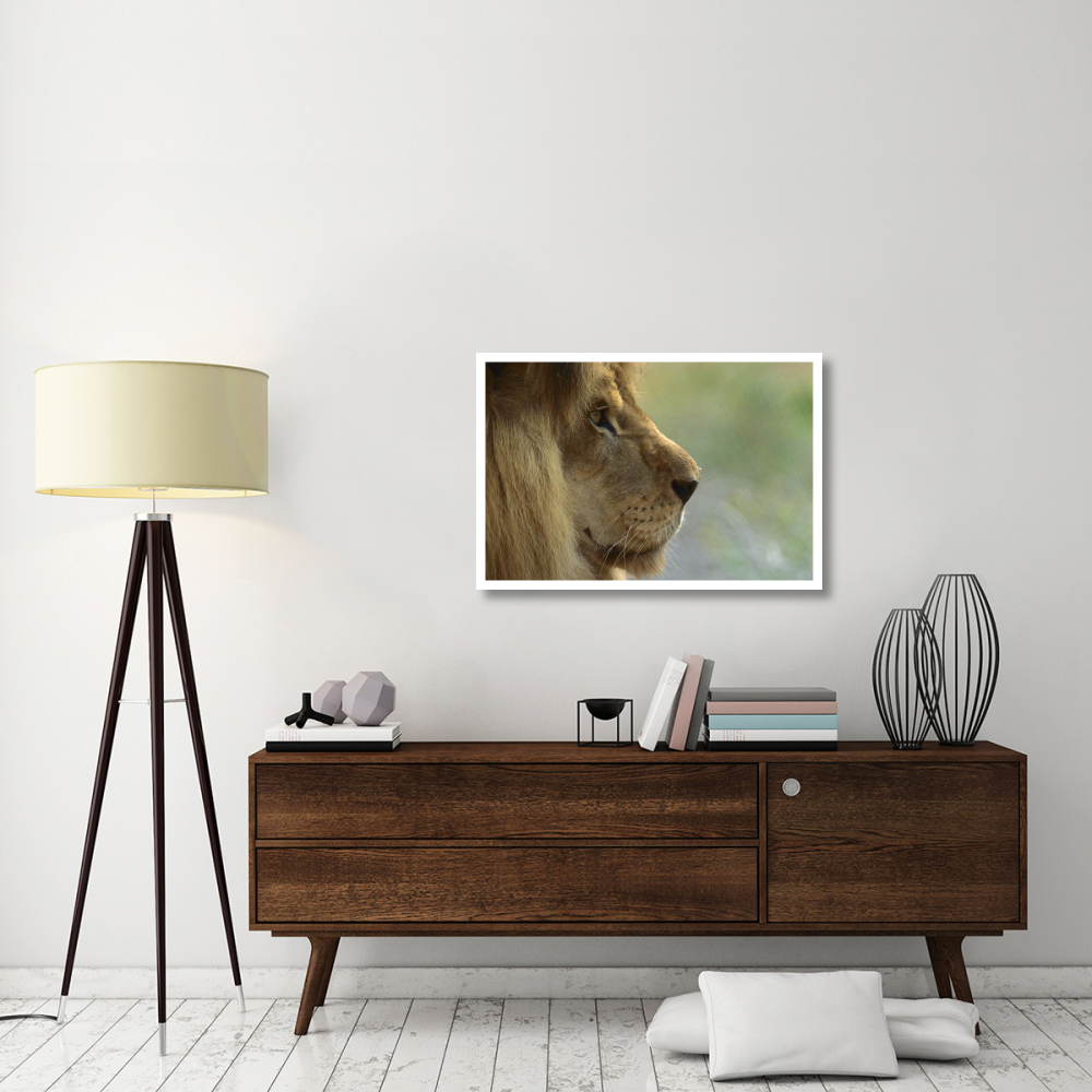 African Lion male portrait-Paper Art-38&quotx26"