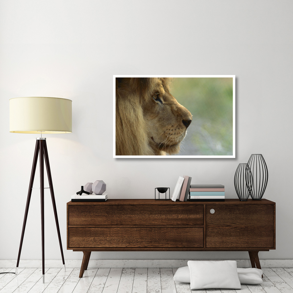 African Lion male portrait-Paper Art-50&quotx34"