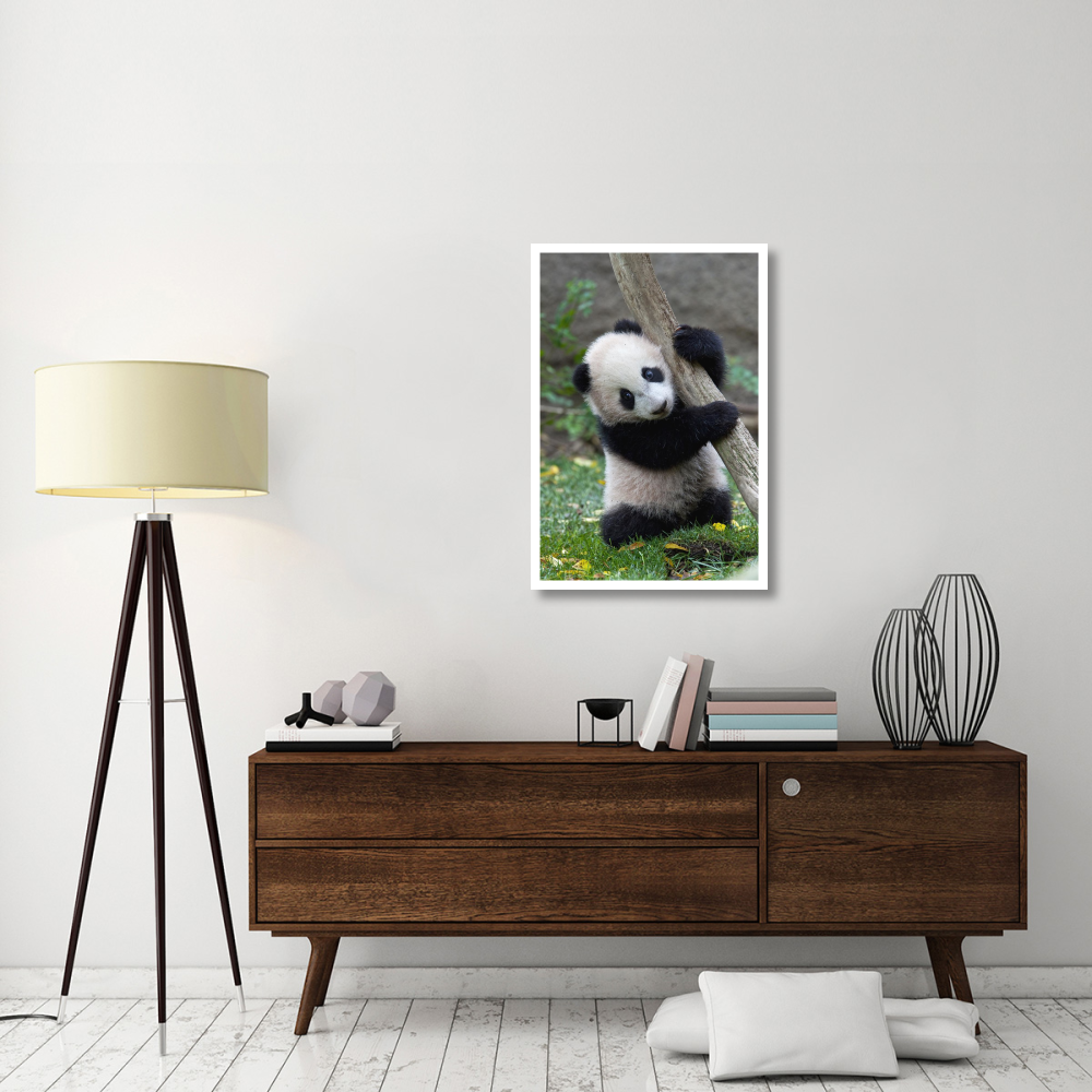 Giant Panda cub, native to China-Paper Art-26&quotx38"