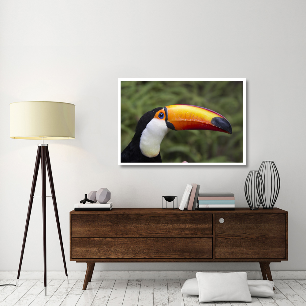 Toco Toucan, native to South America-Paper Art-50&quotx34"