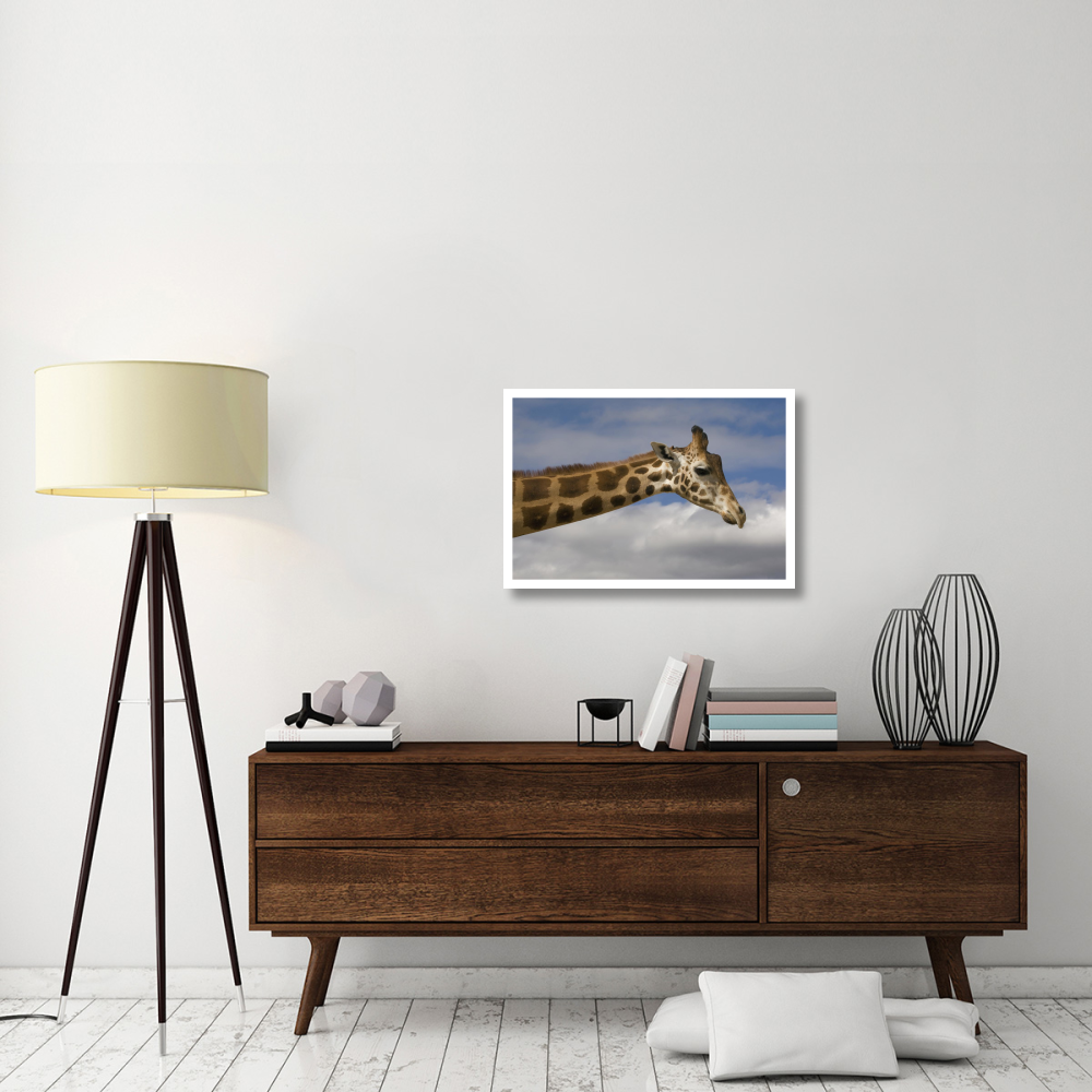 Rothschild Giraffe, native to Africa-Paper Art-32&quotx22"
