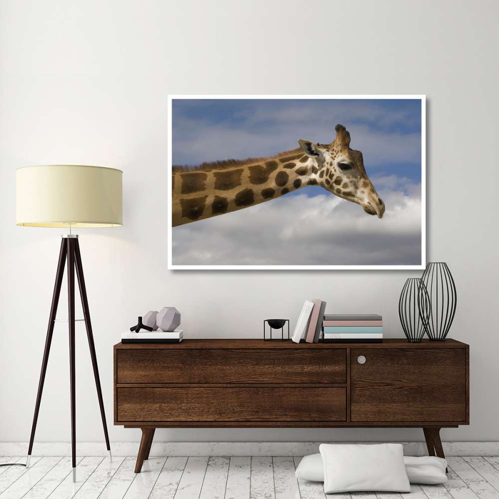 Rothschild Giraffe, native to Africa-Paper Art-62&quotx42"