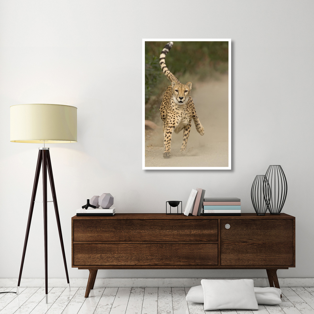 Cheetah in mid-stride, sequence 1 of 3-Paper Art-34&quotx50"