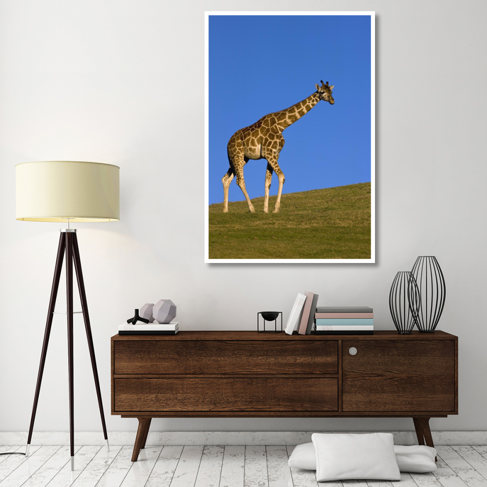 Rothschild Giraffe walking, native to Africa-Paper Art-42&quotx62"