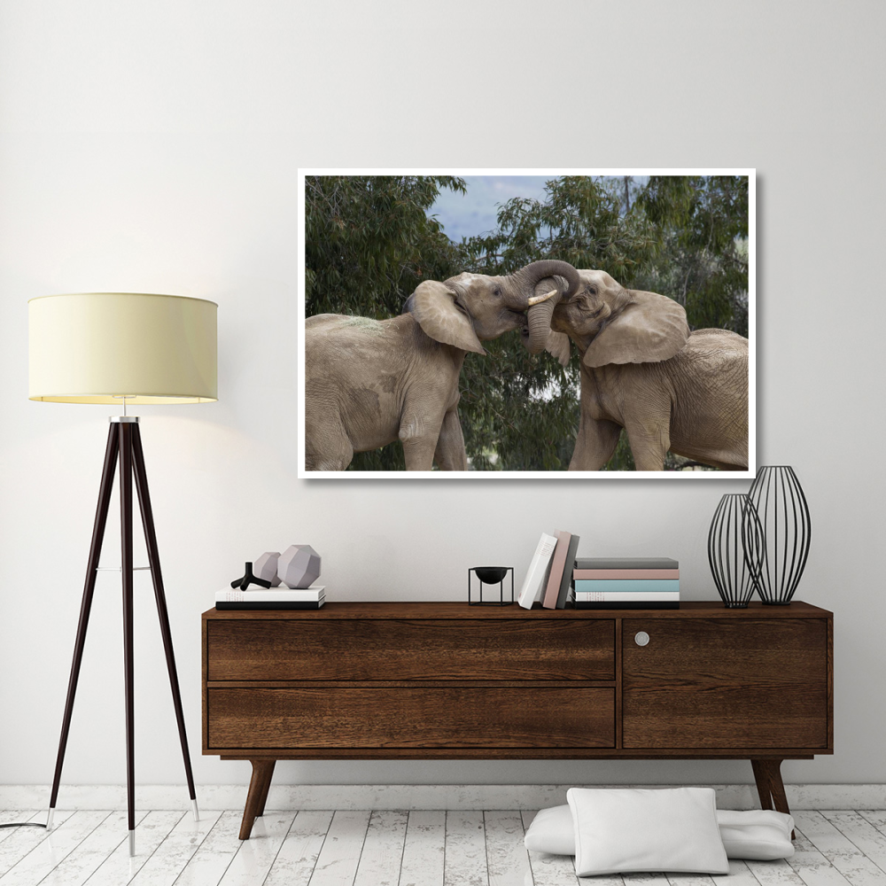 African Elephant bulls sparring, native to Africa-Paper Art-62&quotx42"