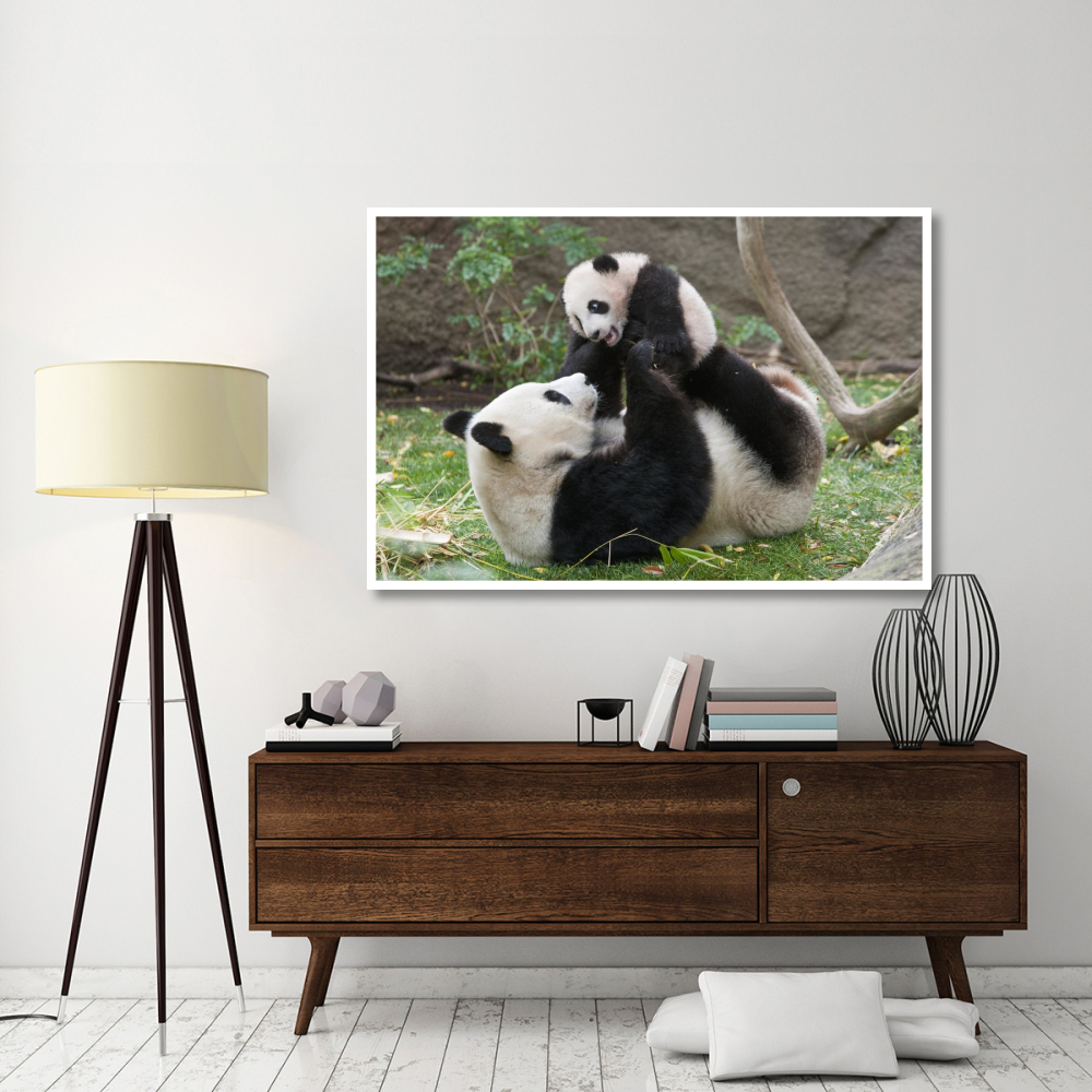 Giant Panda mother and cub playing, native to China-Paper Art-62&quotx42"