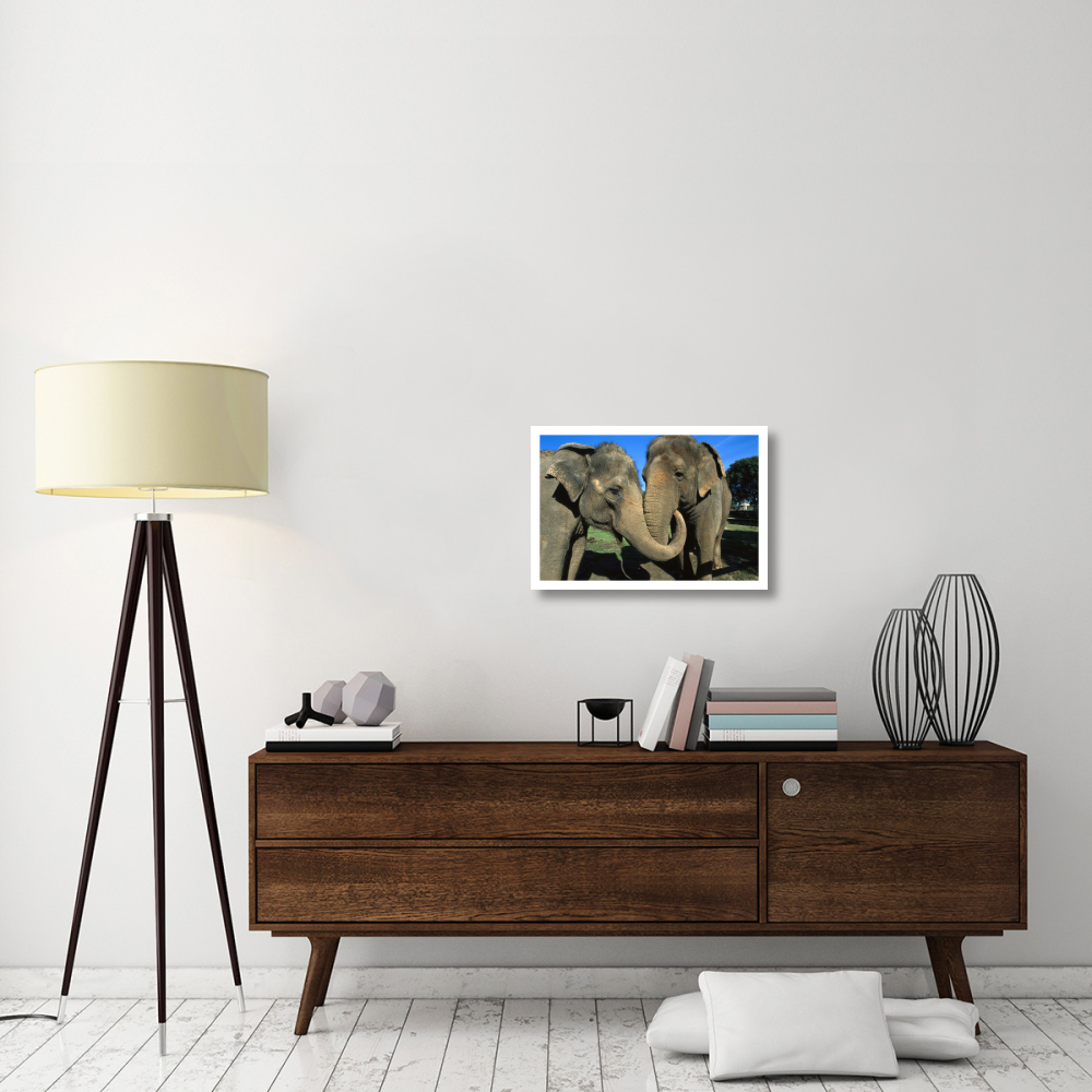 Asian Elephant pair with entwined trunks, native to India, Asia, Thailand and Laos-Paper Art-26&quotx18"