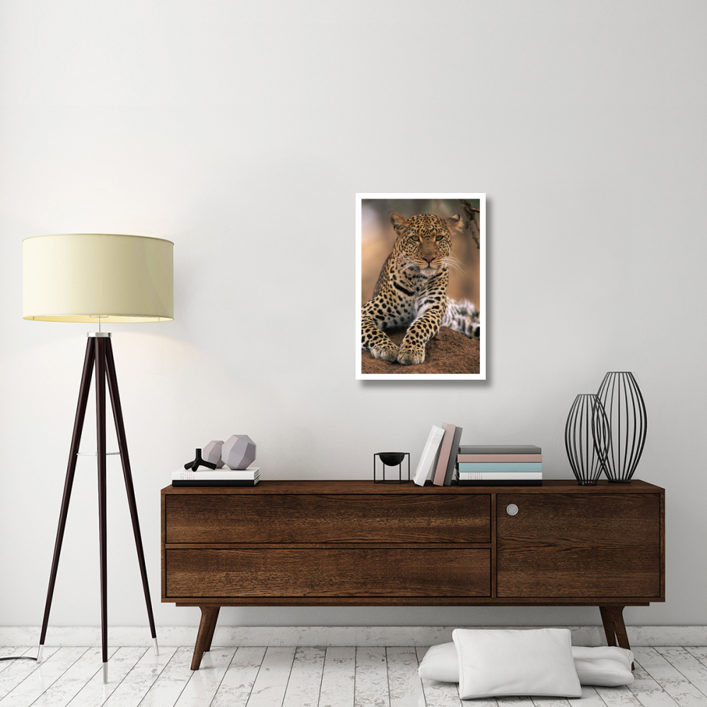 Leopard Masai Mara Game Reserve, Kenya-Paper Art-22&quotx32"