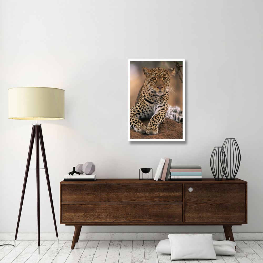 Leopard Masai Mara Game Reserve, Kenya-Paper Art-26&quotx38"