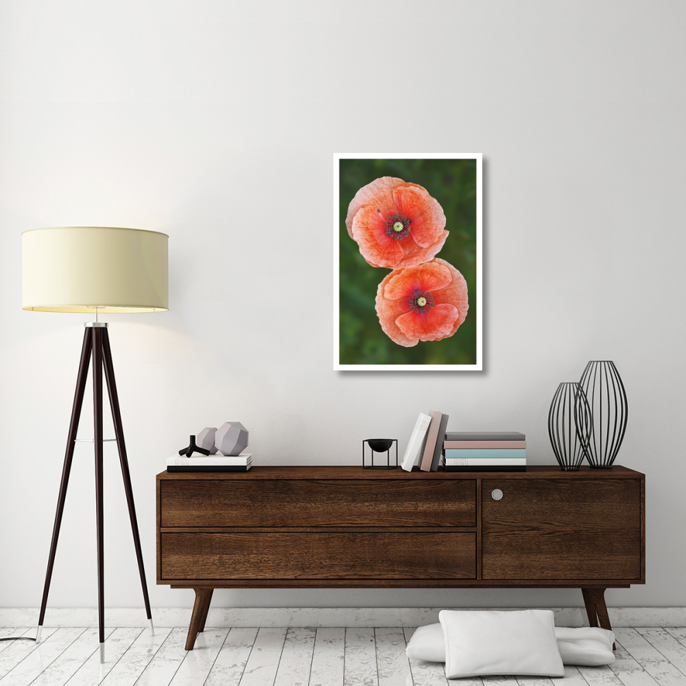 Red Poppies-Paper Art-26&quotx38"