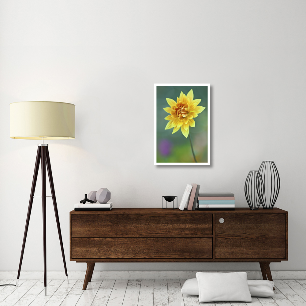 Semi-cactus Dahlia-Paper Art-22&quotx32"