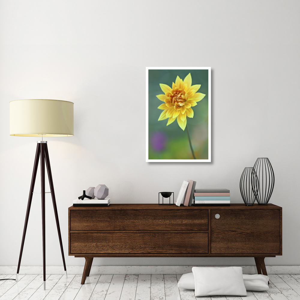 Semi-cactus Dahlia-Paper Art-26&quotx38"