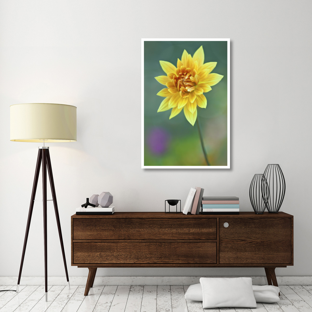 Semi-cactus Dahlia-Paper Art-34&quotx50"