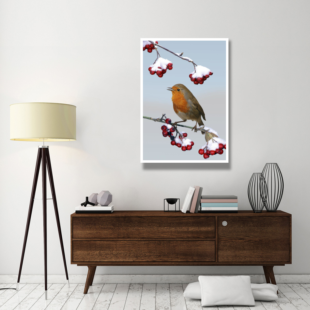 European Robin singing from Cotoneaster bush, England *digital composite*-Paper Art-34&quotx50"
