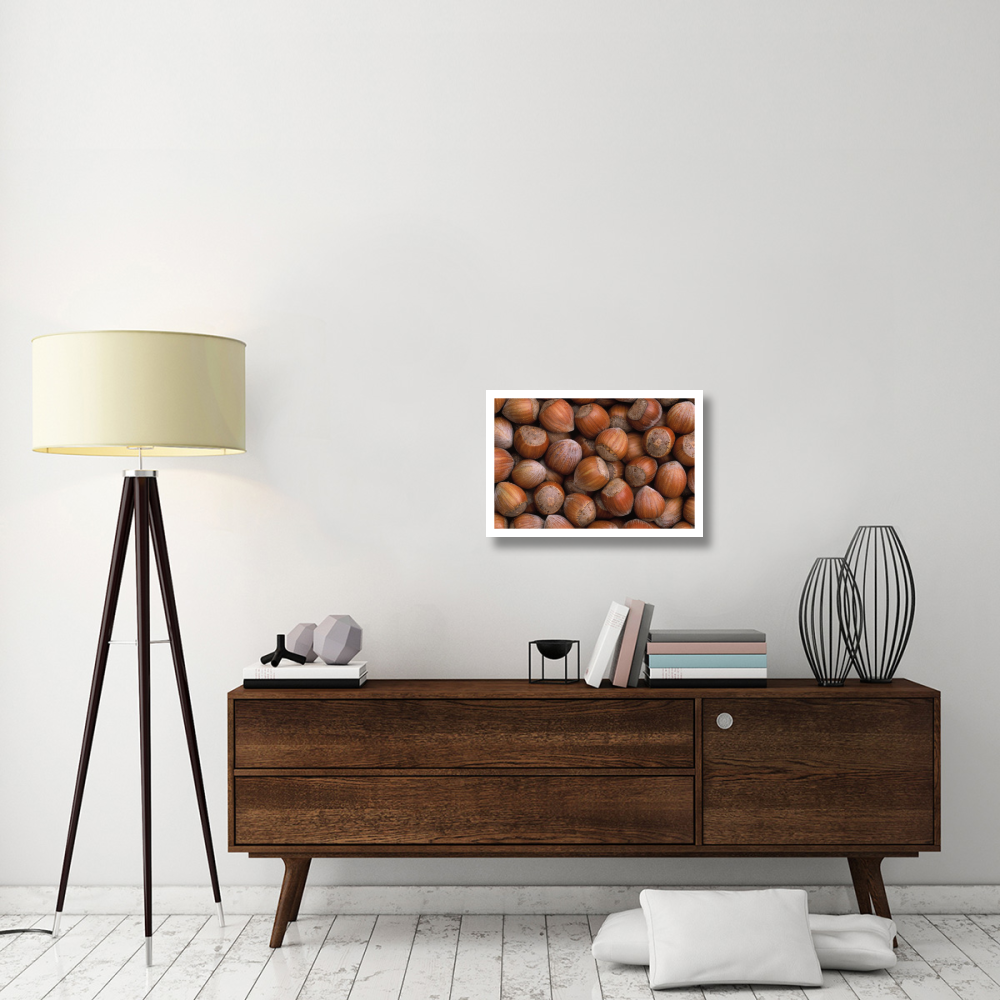 Hazelnut Europe-Paper Art-26&quotx18"