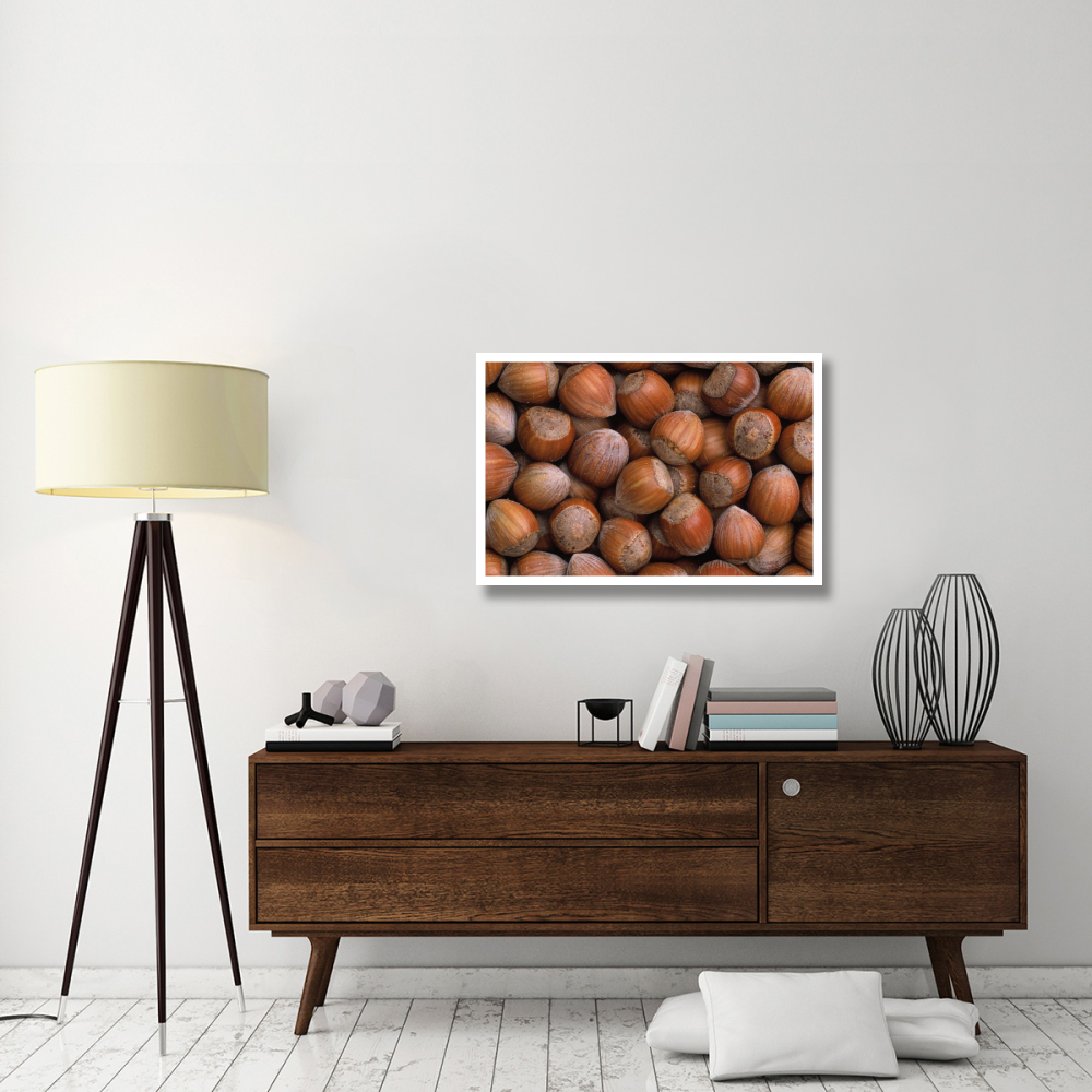 Hazelnut Europe-Paper Art-38&quotx26"