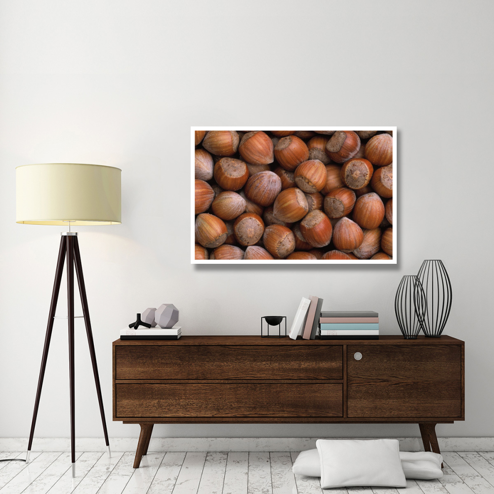 Hazelnut Europe-Paper Art-50&quotx34"
