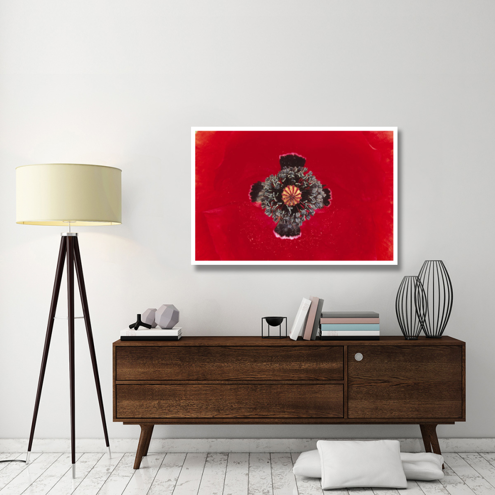 European Red Poppy close up of pistil and stamen, Europe-Paper Art-50&quotx34"