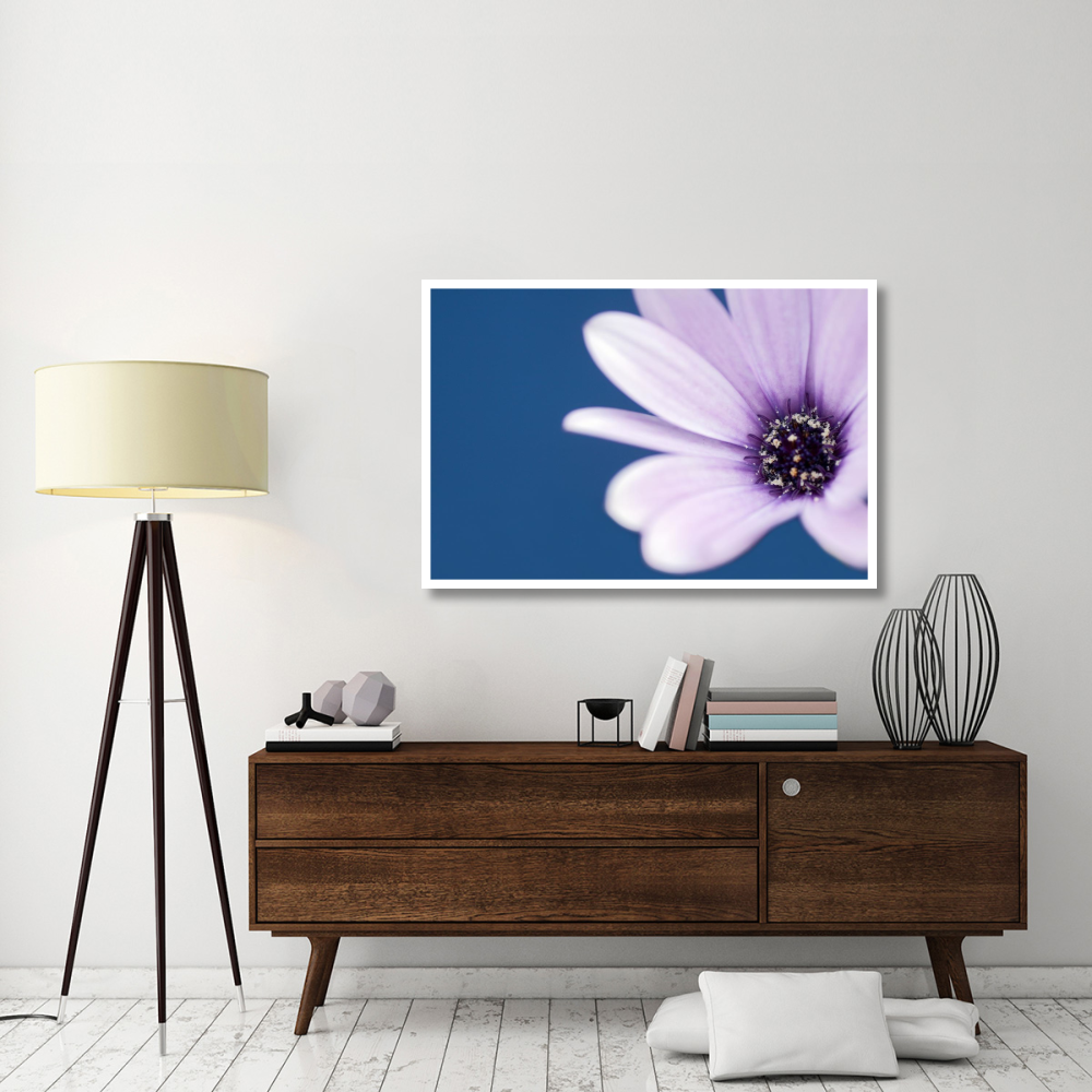 Cape Marguerite Daisy-Paper Art-50&quotx34"
