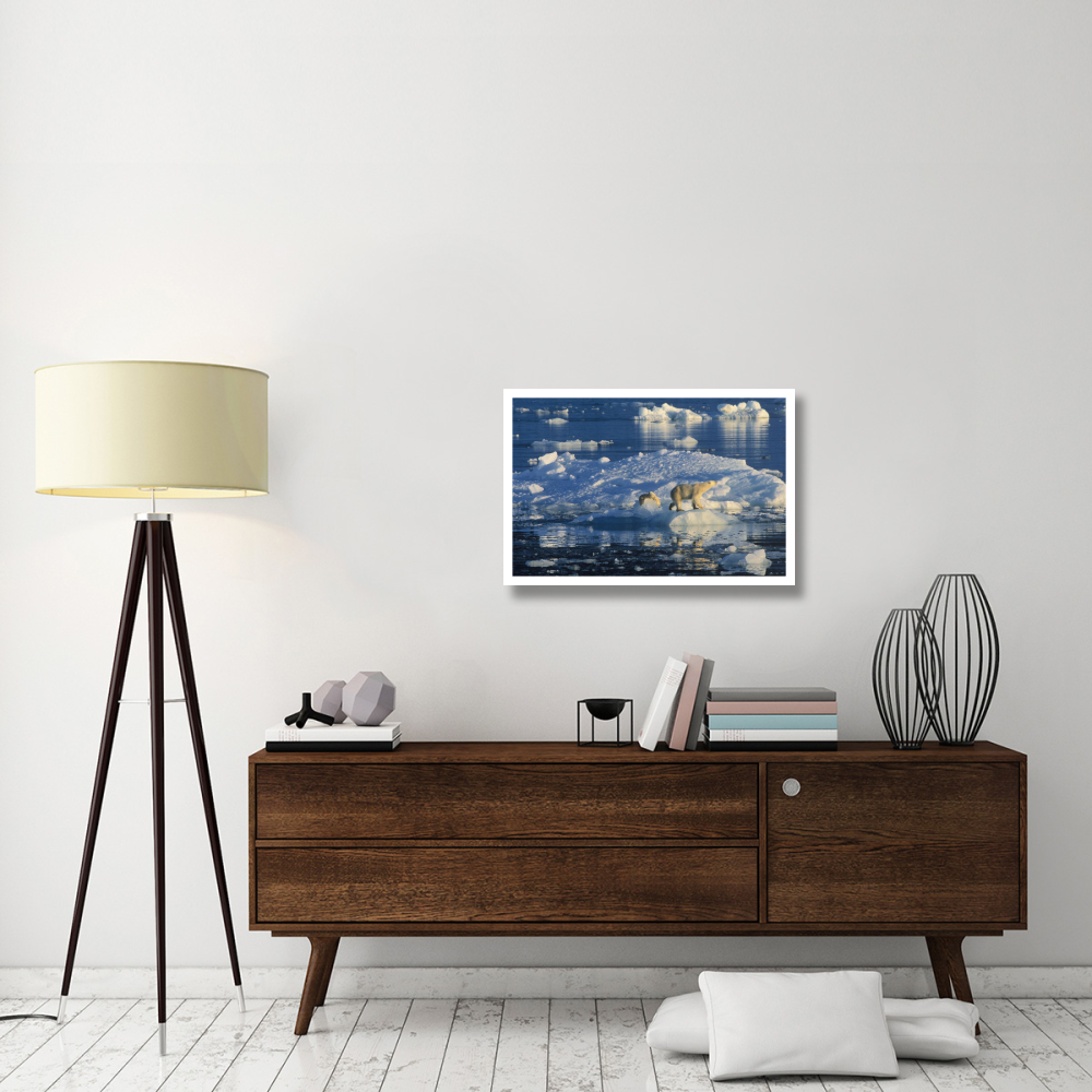 Polar Bear adult and cub on ice, Spitsbergen-Paper Art-32&quotx22"
