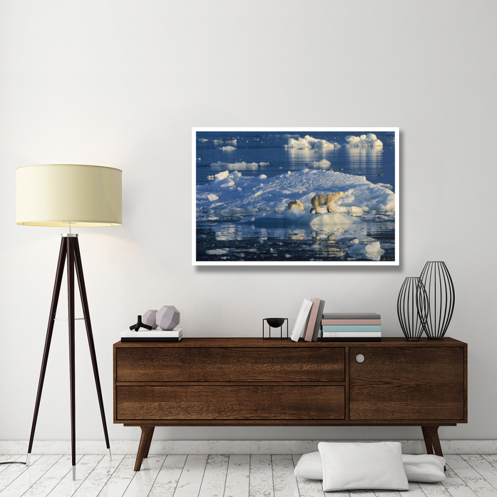Polar Bear adult and cub on ice, Spitsbergen-Paper Art-50&quotx34"