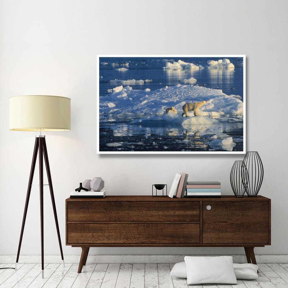 Polar Bear adult and cub on ice, Spitsbergen-Paper Art-62&quotx42"
