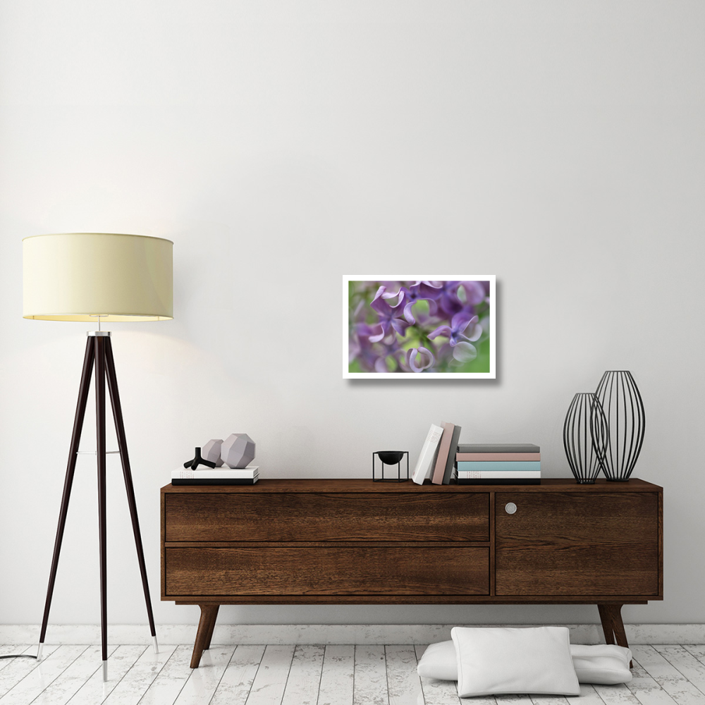 Lilac flower, close up of purple petals-Paper Art-26&quotx18"