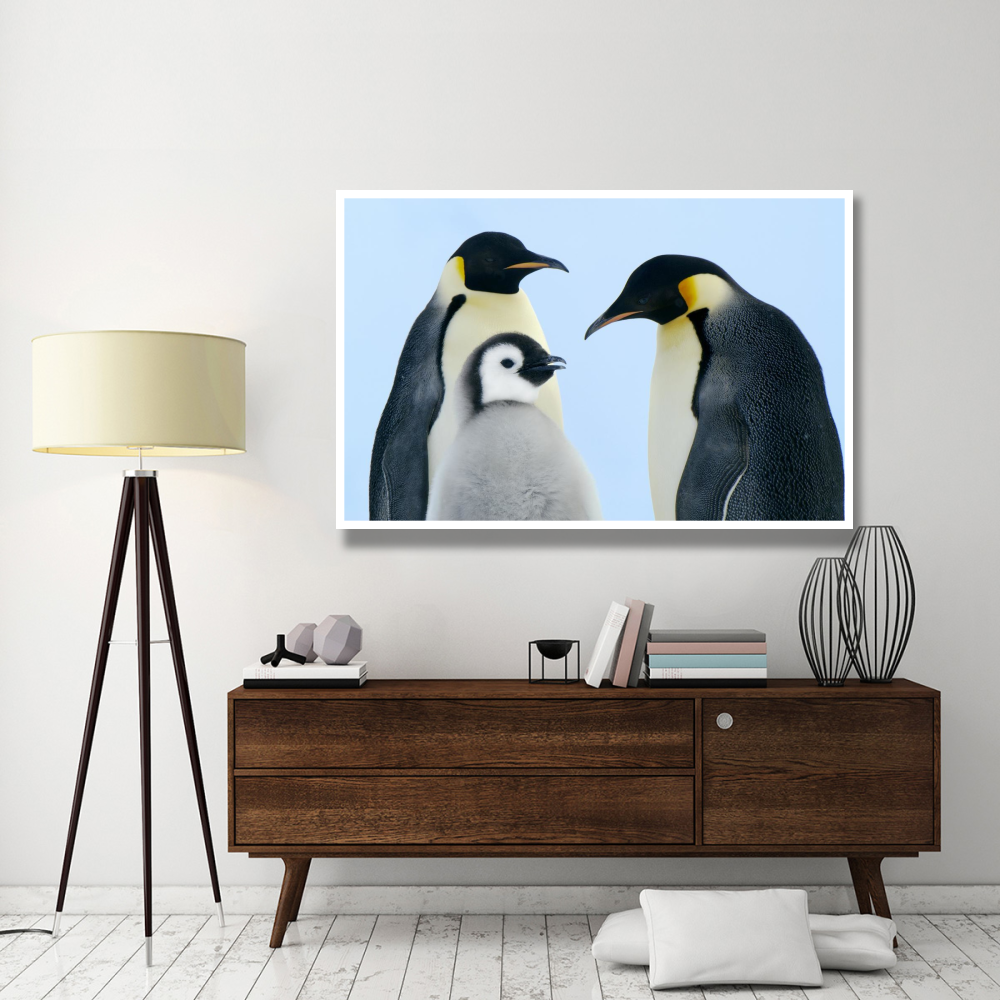 Emperor Penguin family, Weddell Sea, Antarctica-Paper Art-62&quotx42"