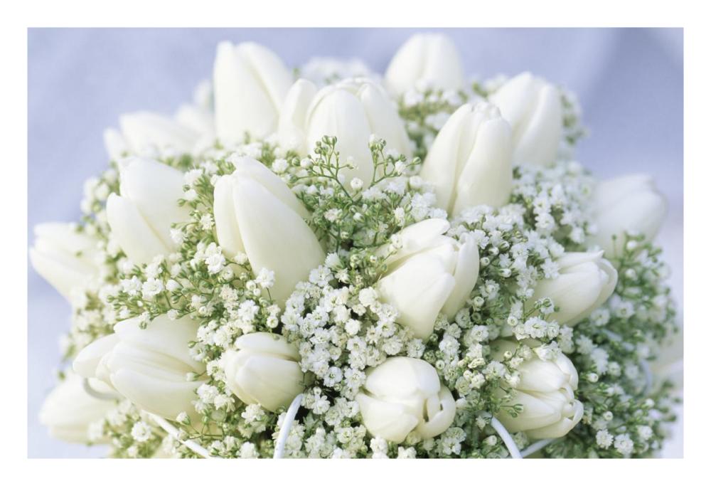Bouquet of white tulips and Baby's Breath-Paper Art-26"x18"