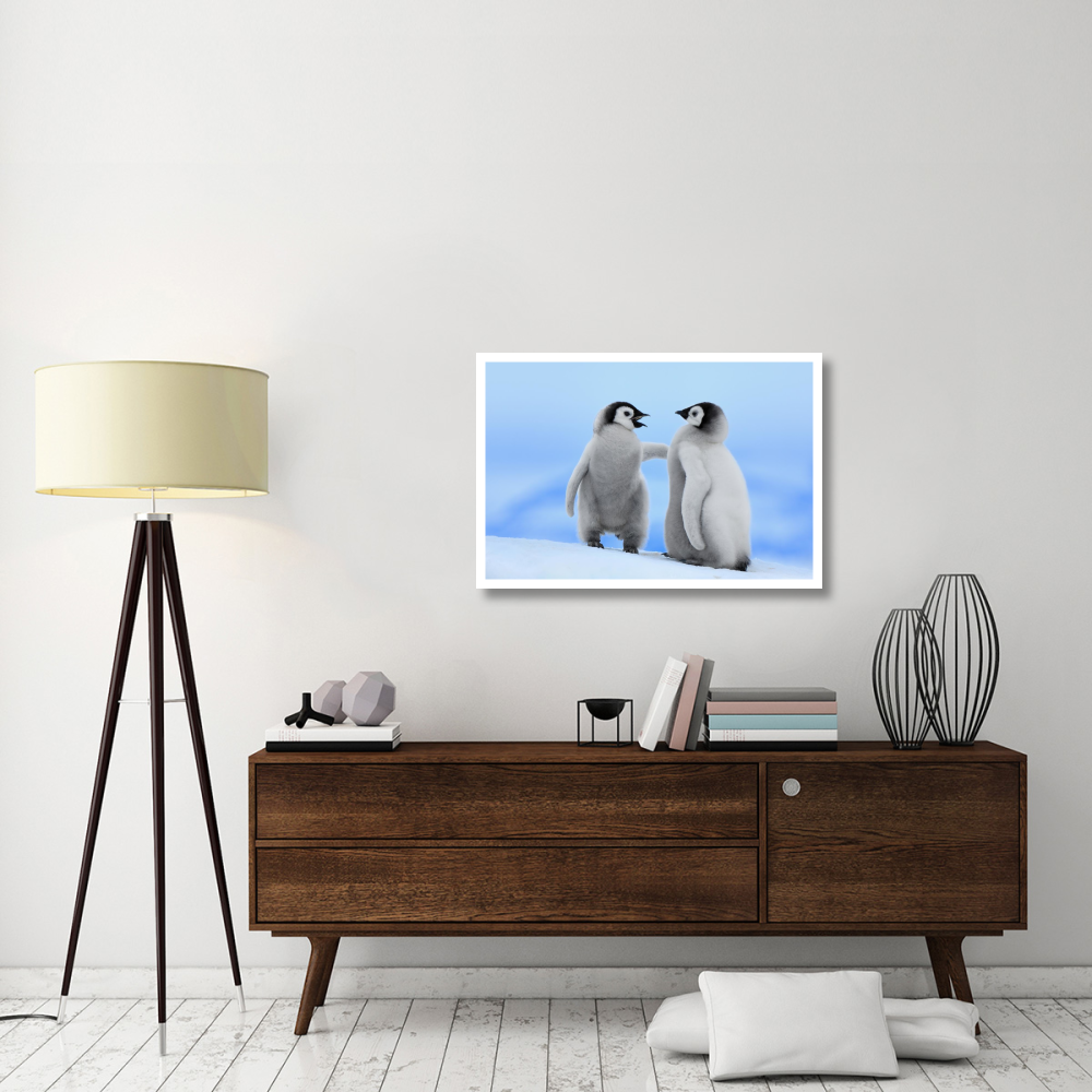 Emperor Penguin pair, Snow Hill Island, Antarctica-Paper Art-38&quotx26"