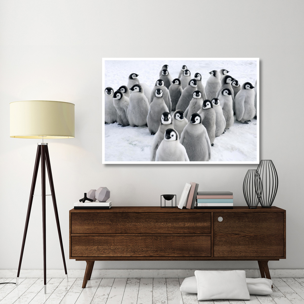 Emperor Penguin chicks, Snow Hill Island, Antarctica-Paper Art-62&quotx42"