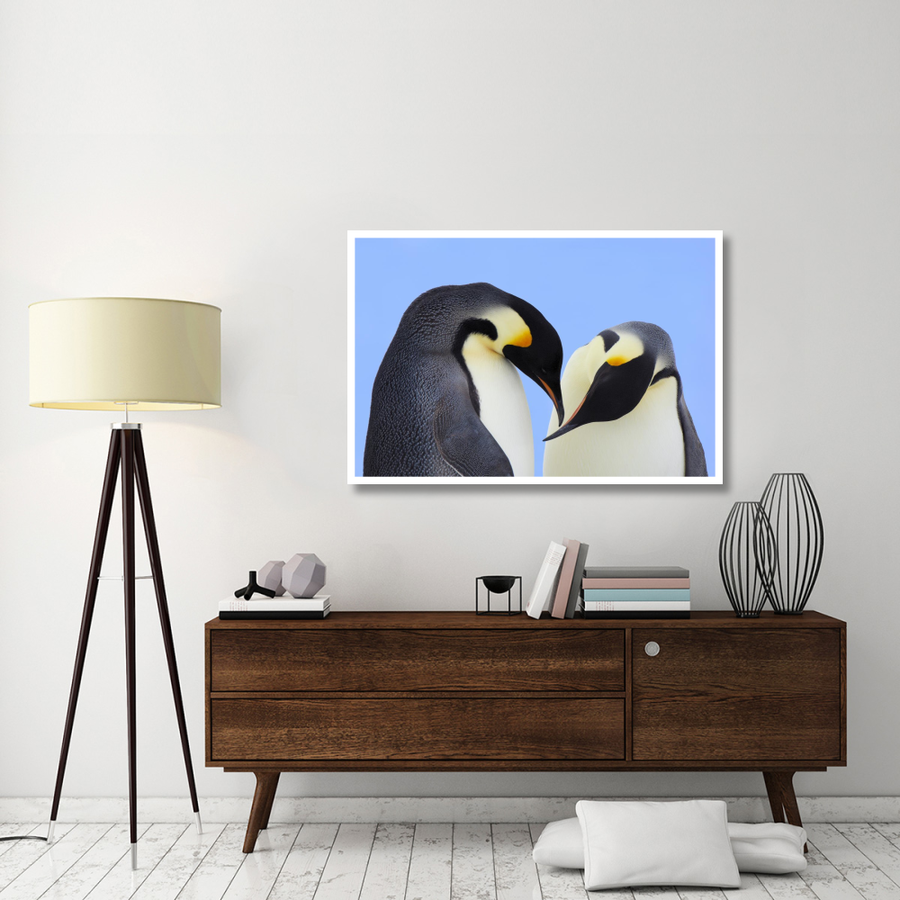 Emperor Penguin pair courting, Snow Hill Island, Antarctica-Paper Art-50&quotx34"