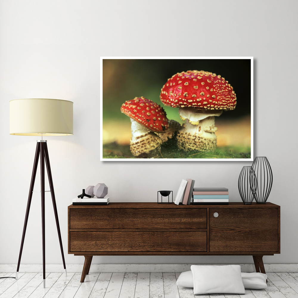 Fly Agaric pair, highly toxic, grows under pine trees, Europe-Paper Art-62&quotx42"