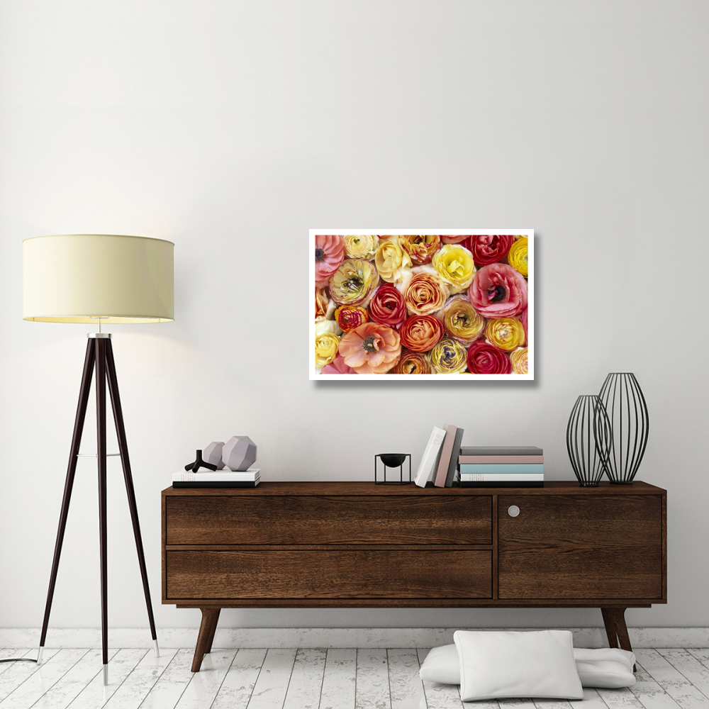 Buttercup flowers, close up of a group of orange, pink, yellow and red flowers-Paper Art-38&quotx26"