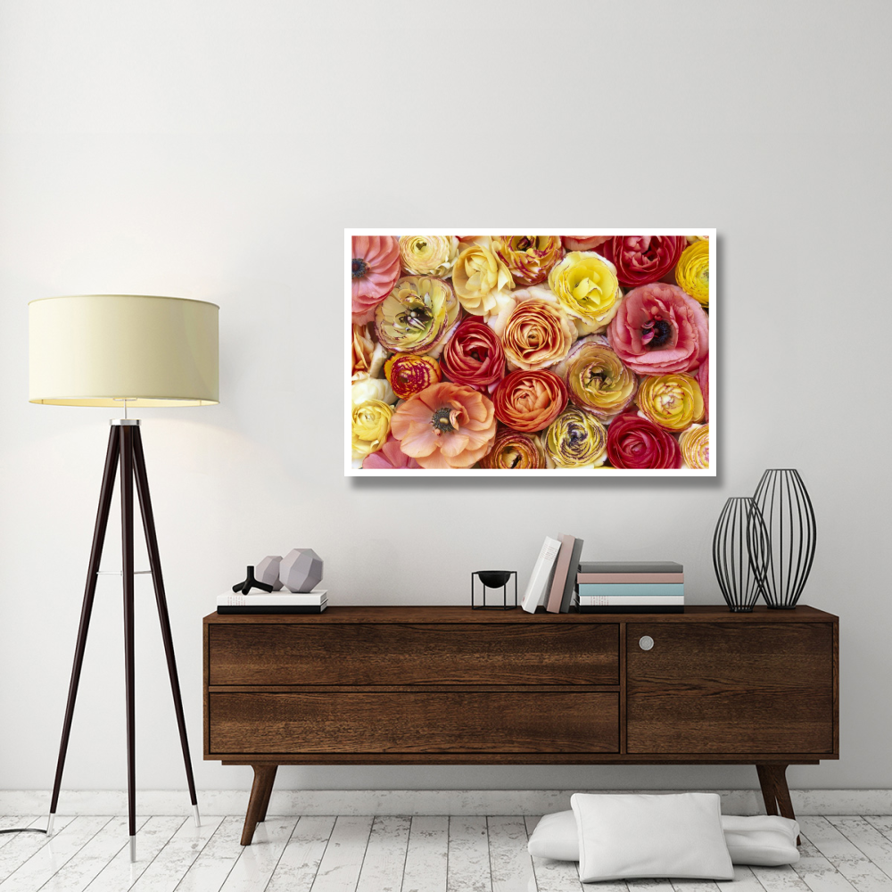 Buttercup flowers, close up of a group of orange, pink, yellow and red flowers-Paper Art-50&quotx34"