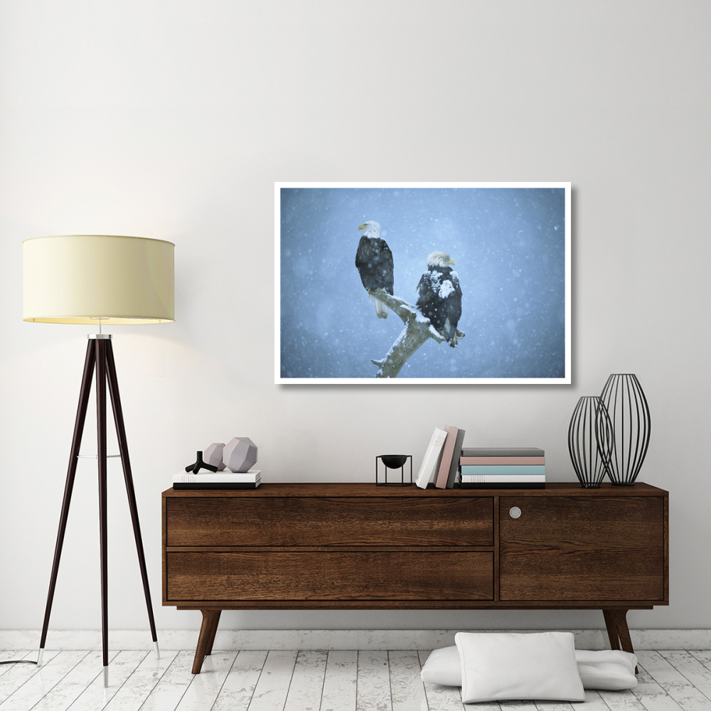 Bald Eagles perched on snag in snow, Kenai Peninsula, Alaska-Paper Art-50&quotx34"