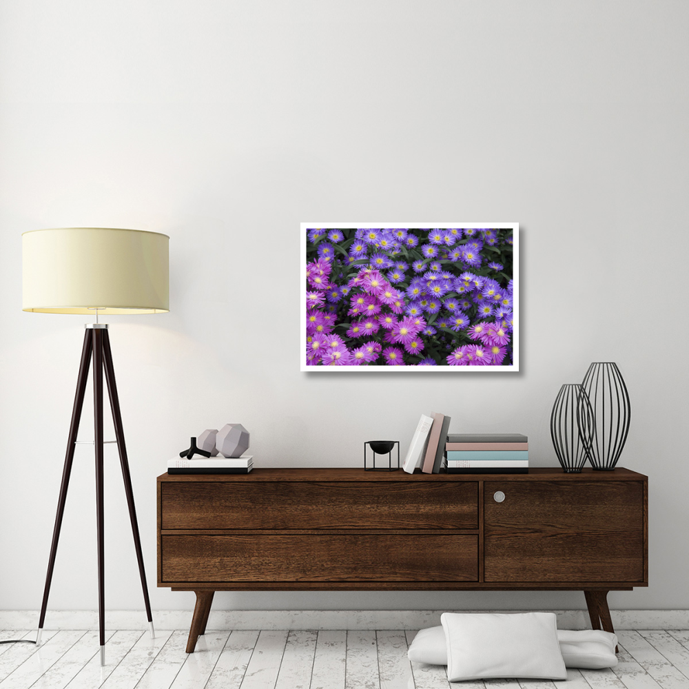 Aster flowers-Paper Art-38&quotx26"