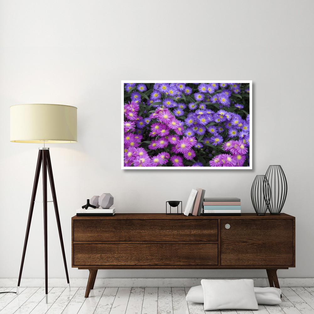 Aster flowers-Paper Art-50&quotx34"
