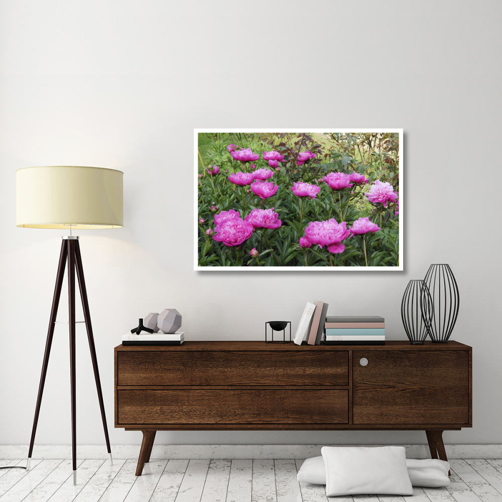 Peony flowers-Paper Art-50&quotx34"