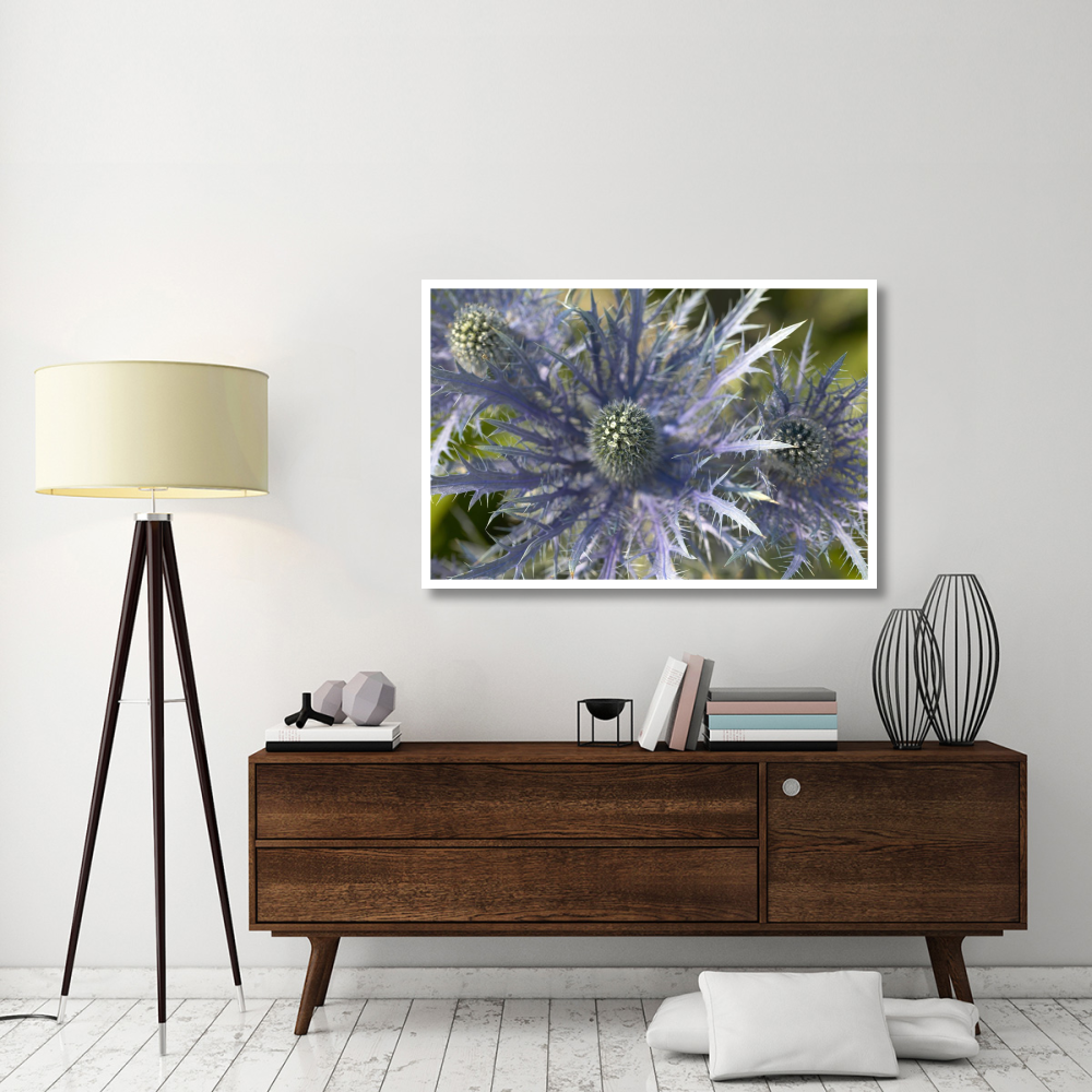 Eryngo flower-Paper Art-50&quotx34"