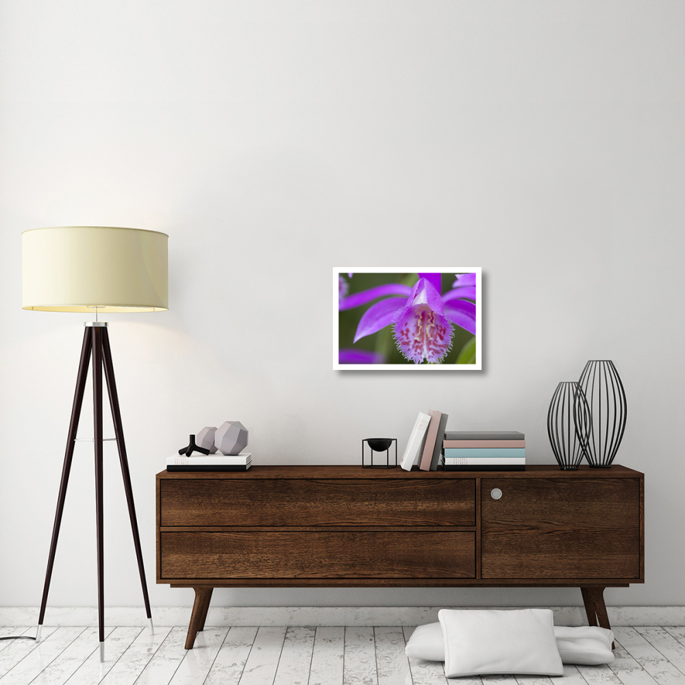 Orchid flower-Paper Art-26&quotx18"