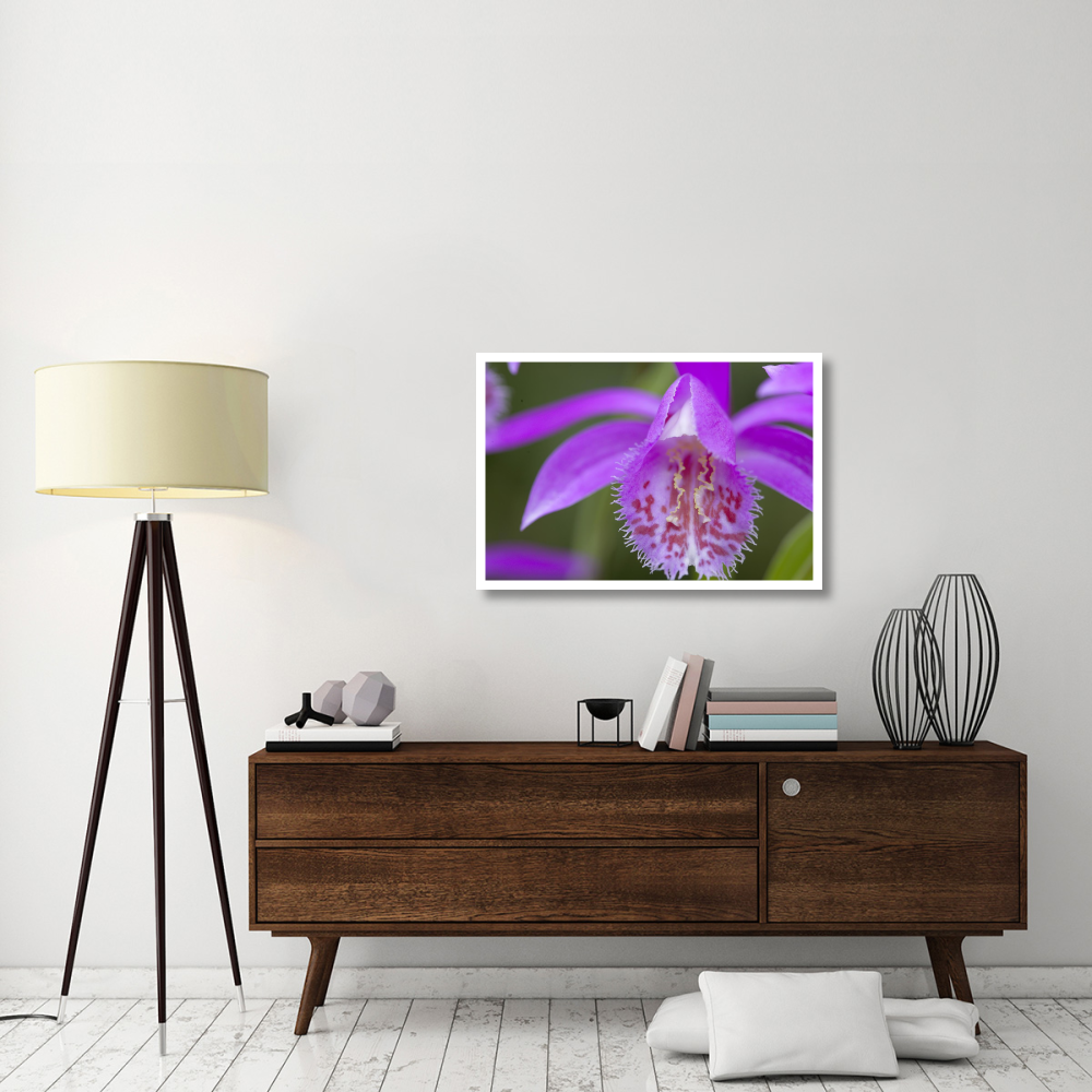 Orchid flower-Paper Art-38&quotx26"