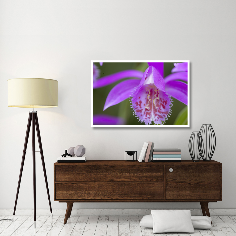 Orchid flower-Paper Art-50&quotx34"