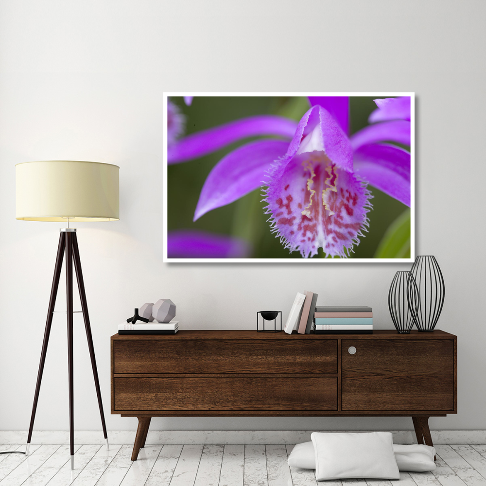 Orchid flower-Paper Art-62&quotx42"