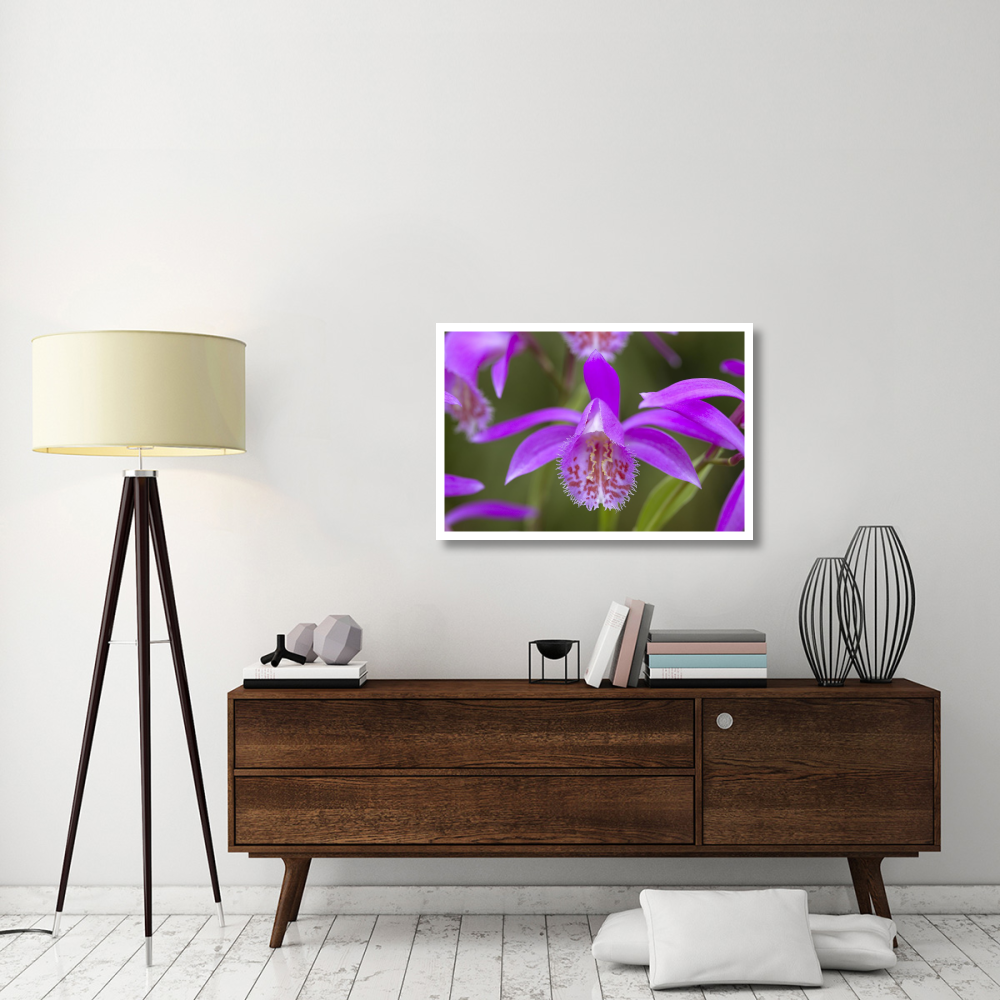 Orchid flower-Paper Art-38&quotx26"