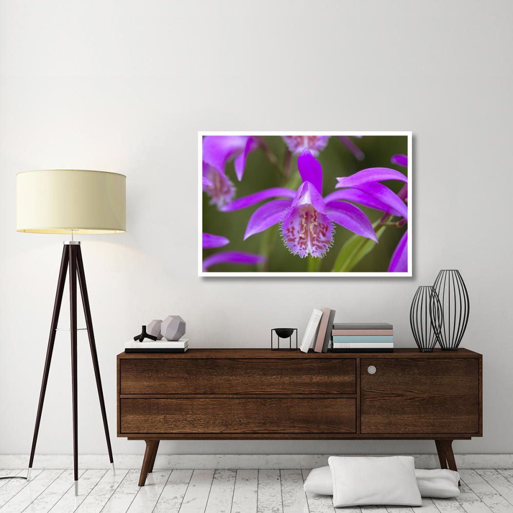Orchid flower-Paper Art-50&quotx34"