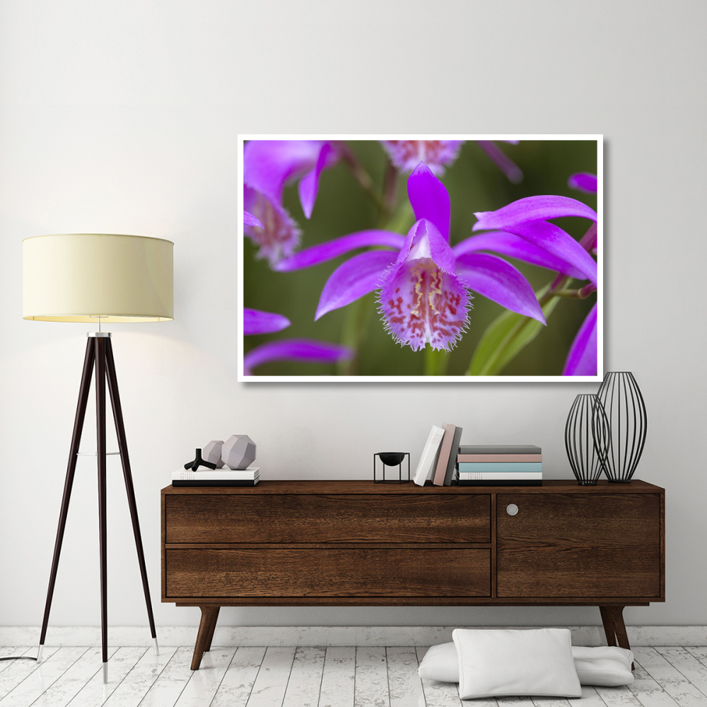 Orchid flower-Paper Art-62&quotx42"